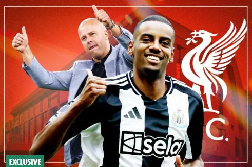 再正式展开, 季末销售额, ws