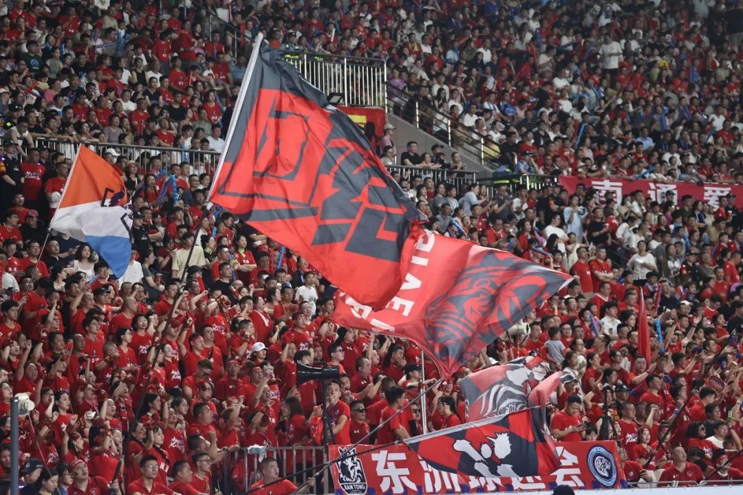 amp, 连云港队, amp