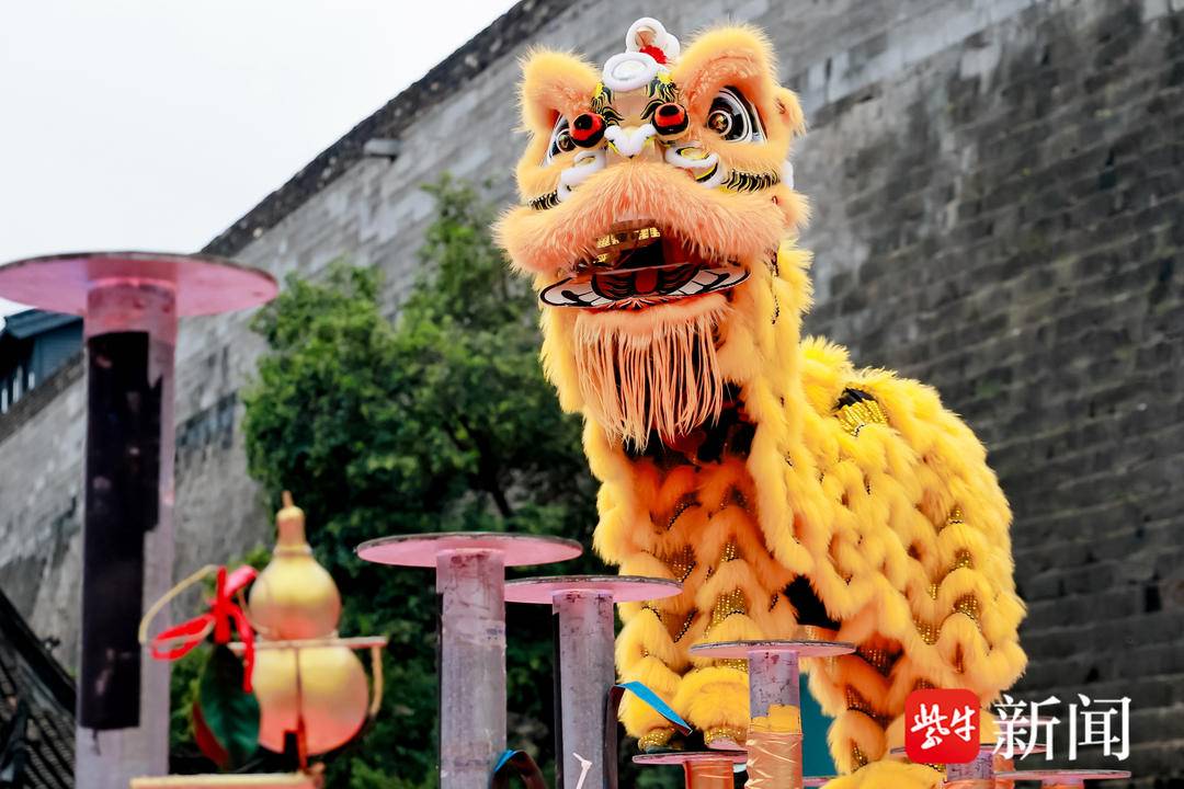 年世界华人, 州加影育华, 狮王