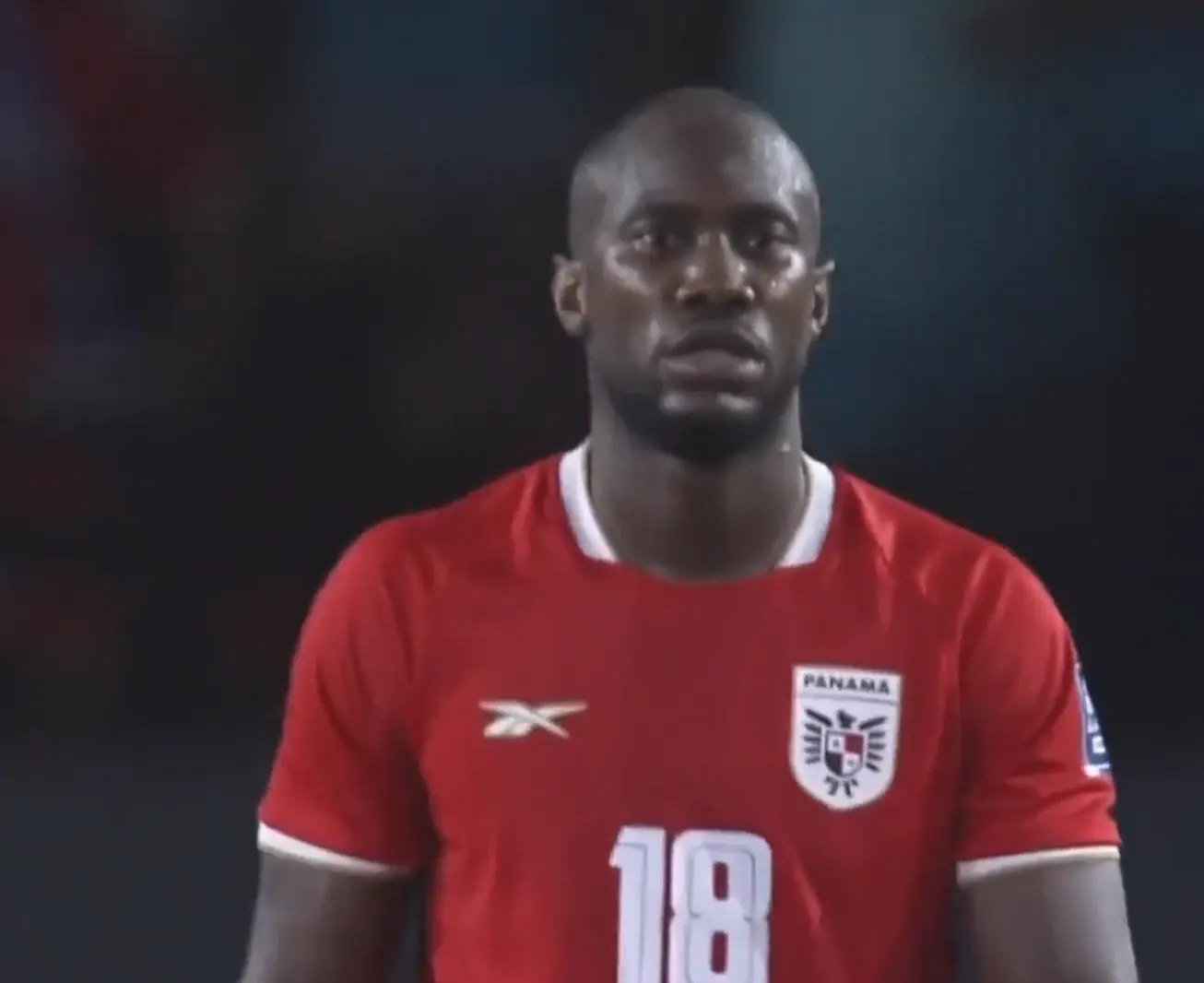 entit, 前排名世界, msn